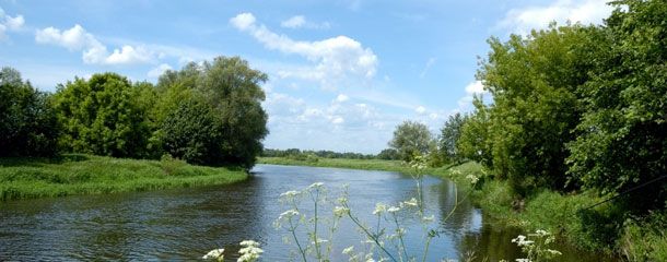 Cottage Near A River Cottage Near A River