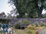 Mordue's Cottage