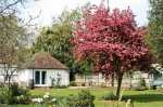 Old Tudor Cottage Annexe
