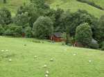 Borrowdale