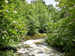 Borrowdale