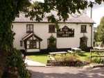 Derwen Fawr
