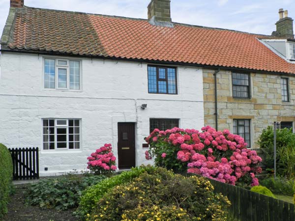 Lion Cottage Coastal Cottage, Hinderwell, North York Moors & Coast (Ref 18044)