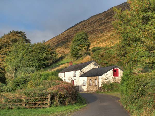 Maes-Y-Felin Pet-Friendly Cottage, Ffarmers, Mid Wales (Ref 18734)