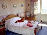 Beech Hill Manor