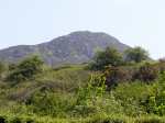 Isfryn
