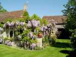 Wisteria Cottage