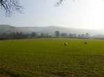 Bryn Derwen