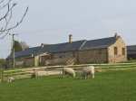 The Stable Pet-Friendly Cottage, Milton, Cumbria & The Lake District (Ref 3739)