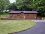 The Beeches