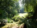 Bluebell Studio