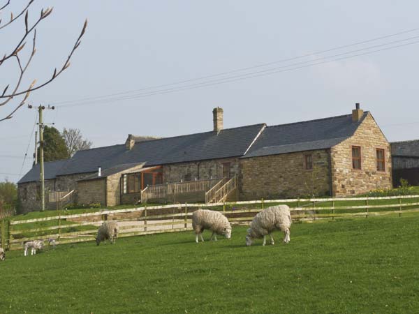 The Dairy  Pet-Friendly Cottage, Milton, Cumbria & The Lake District (Ref 4585)