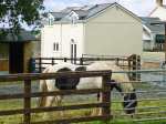 Saddler’s Cottage
