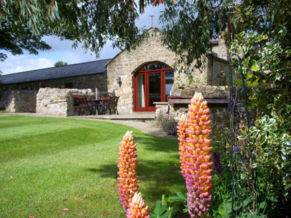 The Dovecote Pet-Friendly Cottage, Gilling West Near Richmond, Yorkshire Dales (Ref 674)