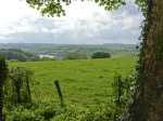 The Brambles