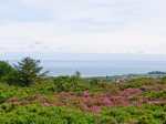 Tyn y Mynydd  