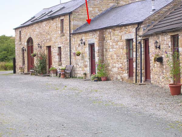 Swallow Cottage Pet-Friendly Cottage, Newcastleton, Southern Scotland (Ref 903680)