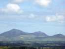 Bronwydd