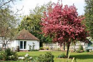 Old Tudor Cottage Annexe