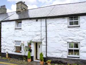 Plas Arenig
