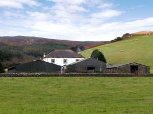 Homestone Farm