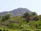 Isfryn