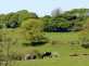 Isfryn