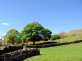 The Hayloft