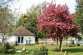 Old Tudor Cottage Annexe
