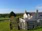 The Annexe