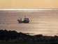 23 Laigh Isle