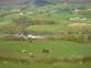 The Piggery