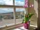 The Byre