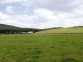 Homestone Farm