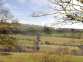 Low Moor Stables