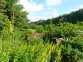 Spens Farm