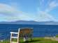 Dolphin View