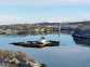Ynys Gorad Goch