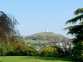 Oaklands