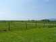 Robin Rigg View