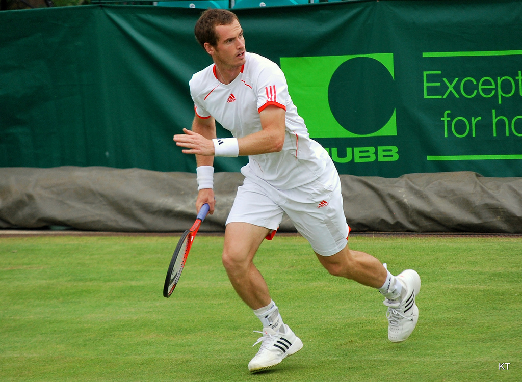 Andy Murray at Wimbledon