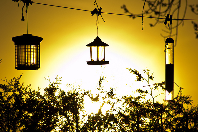 Via Flickr