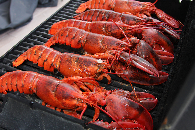 Cooked Cornish lobster