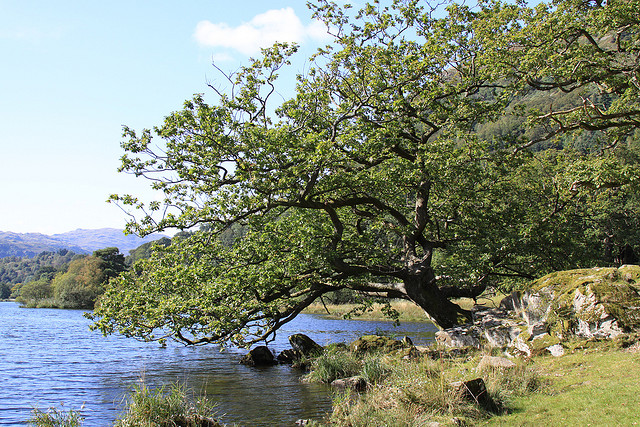 Rydal Water