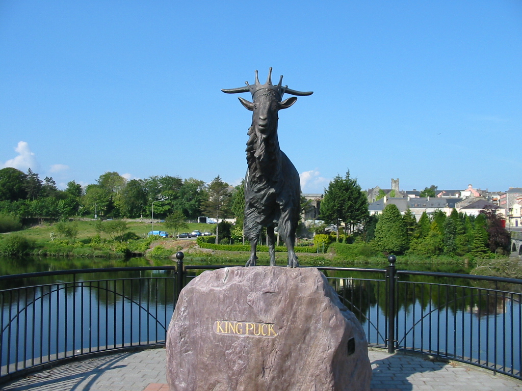 Puck Fair, County Kerry
