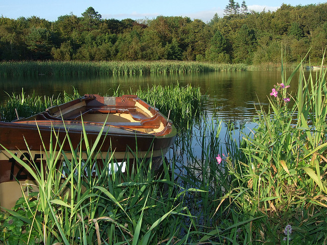 Lough Ennel