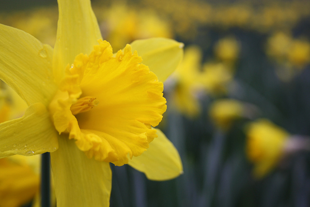 Via Flickr