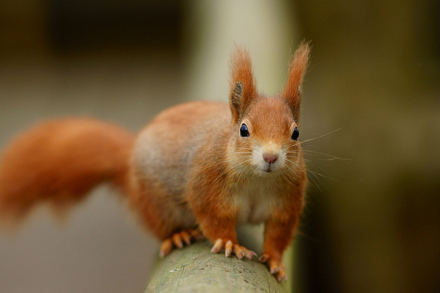 Via Flickr.