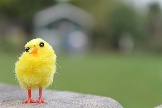 via. Flickr