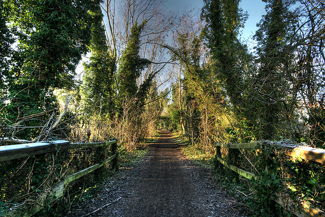 Running Route